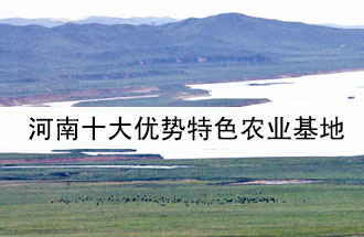 8月19日，河南省政府發(fā)布了關(guān)于深入推進農(nóng)業(yè)供給側(cè)結(jié)構(gòu)性改革 大力發(fā)展優(yōu)勢特色農(nóng)業(yè)的意見