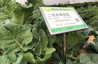 10月23日，中國(guó)（鄭州）種業(yè)博覽會(huì)將在河南省鄭州市中牟縣官渡鎮(zhèn)鄉(xiāng)謠農(nóng)場(chǎng)舉辦